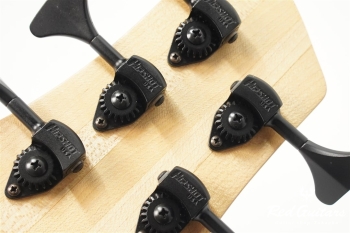 Platinum Series Single-Cut , e-volution 5 - Macassar Ebony